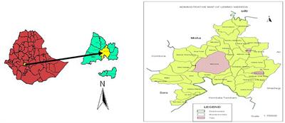 Farmers' Knowledge Is the Basis for Local Level Agro-Forestry Management: The Case of Lemo Woreda in Hadiya Zone, Ethiopia
